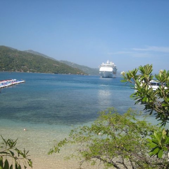 Meet your Posher, Chicki - Picture 1 of 1